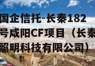 国企信托-长秦182号咸阳CF项目（长秦照明科技有限公司）