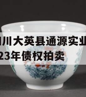 四川大英县通源实业2023年债权拍卖