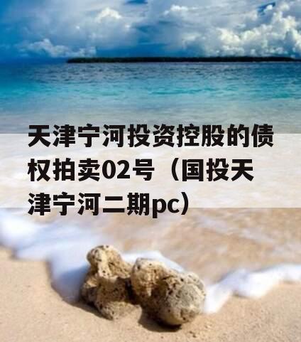 天津宁河投资控股的债权拍卖02号（国投天津宁河二期pc）