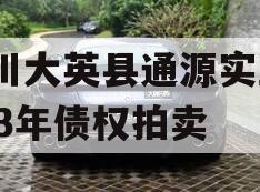 四川大英县通源实业2023年债权拍卖