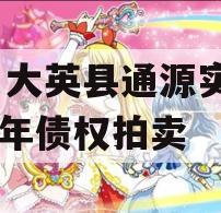 四川大英县通源实业2023年债权拍卖