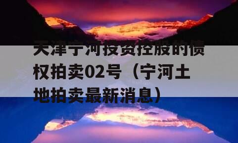 天津宁河投资控股的债权拍卖02号（宁河土地拍卖最新消息）