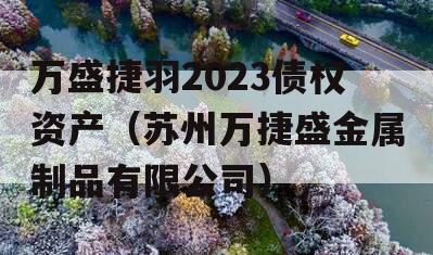 万盛捷羽2023债权资产（苏州万捷盛金属制品有限公司）