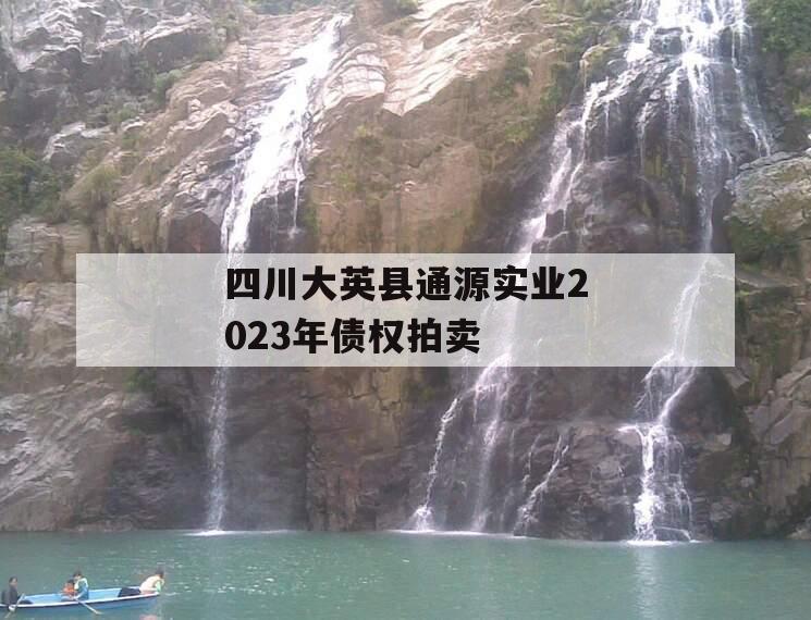 四川大英县通源实业2023年债权拍卖