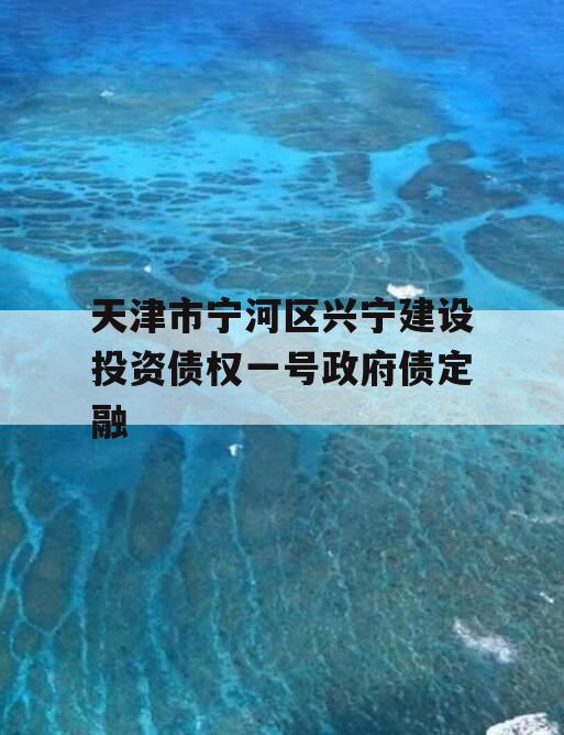 天津市宁河区兴宁建设投资债权一号政府债定融