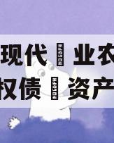 JT县现代‮业农‬投资‮权债‬资产