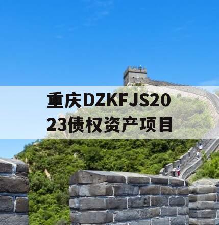 重庆DZKFJS2023债权资产项目