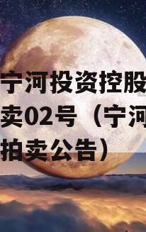 天津宁河投资控股的债权拍卖02号（宁河区法院拍卖公告）