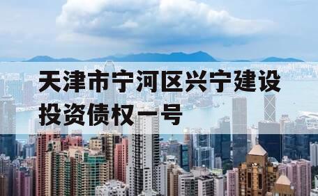 天津市宁河区兴宁建设投资债权一号