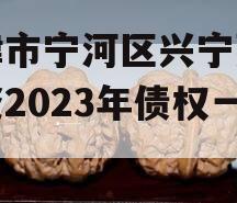 天津市宁河区兴宁建设投资2023年债权一号