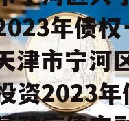 天津市宁河区兴宁建设投资2023年债权一号（天津市宁河区兴宁建设投资2023年债权一号政府债定融）