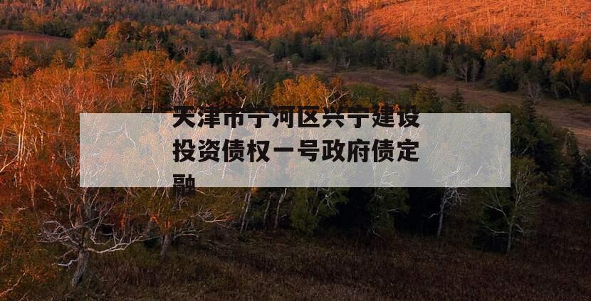 天津市宁河区兴宁建设投资债权一号政府债定融