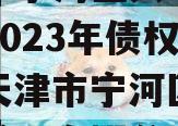 天津市宁河区兴宁建设投资2023年债权一号（天津市宁河区兴凯建设发展有限公司）