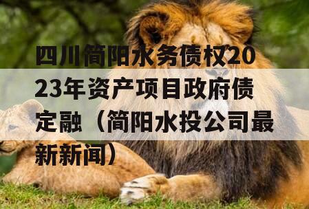 四川简阳水务债权2023年资产项目政府债定融（简阳水投公司最新新闻）