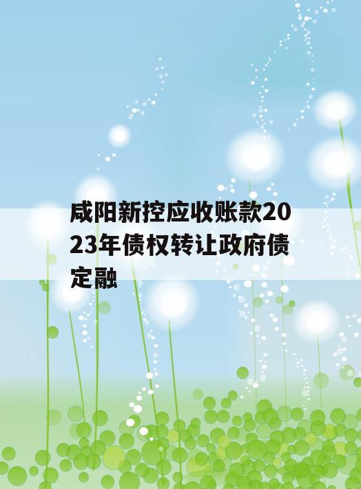 咸阳新控应收账款2023年债权转让政府债定融