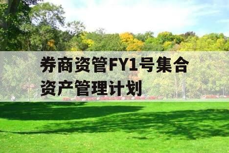 券商资管FY1号集合资产管理计划