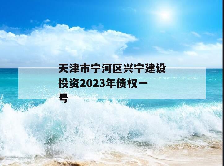 天津市宁河区兴宁建设投资2023年债权一号