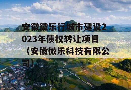 安徽徽乐行城市建设2023年债权转让项目（安徽微乐科技有限公司）