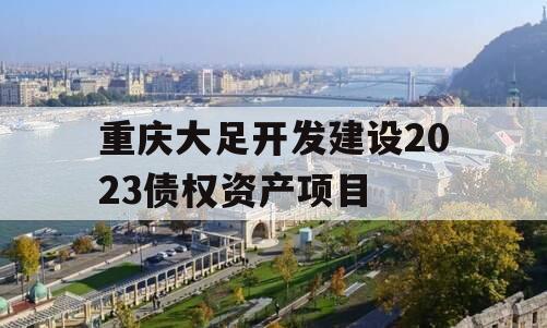 重庆大足开发建设2023债权资产项目