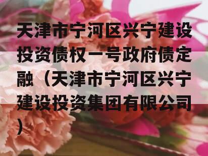 天津市宁河区兴宁建设投资债权一号政府债定融（天津市宁河区兴宁建设投资集团有限公司）