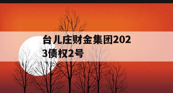 台儿庄财金集团2023债权2号