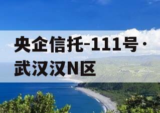 央企信托-111号·武汉汉N区