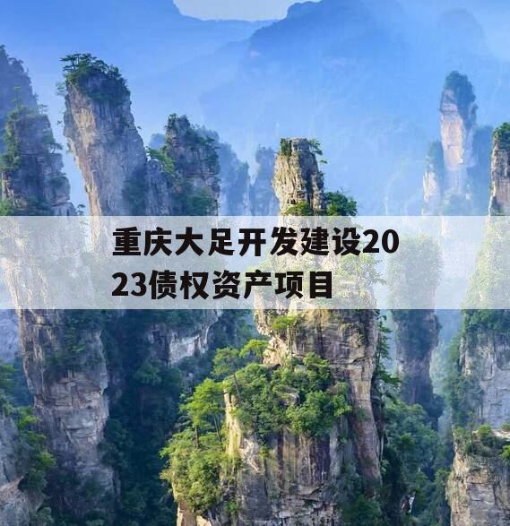 重庆大足开发建设2023债权资产项目