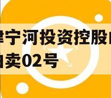 天津宁河投资控股的债权拍卖02号