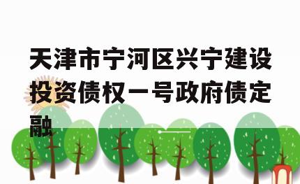 天津市宁河区兴宁建设投资债权一号政府债定融