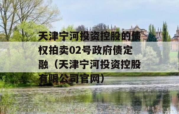 天津宁河投资控股的债权拍卖02号政府债定融（天津宁河投资控股有限公司官网）