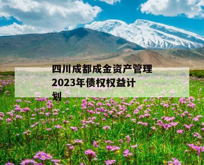 四川成都成金资产管理2023年债权权益计划