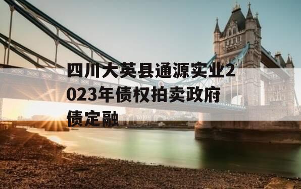 四川大英县通源实业2023年债权拍卖政府债定融