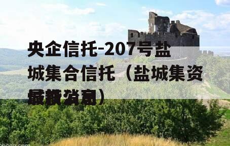 央企信托-207号盐城集合信托（盐城集资城投公司
最新消息）