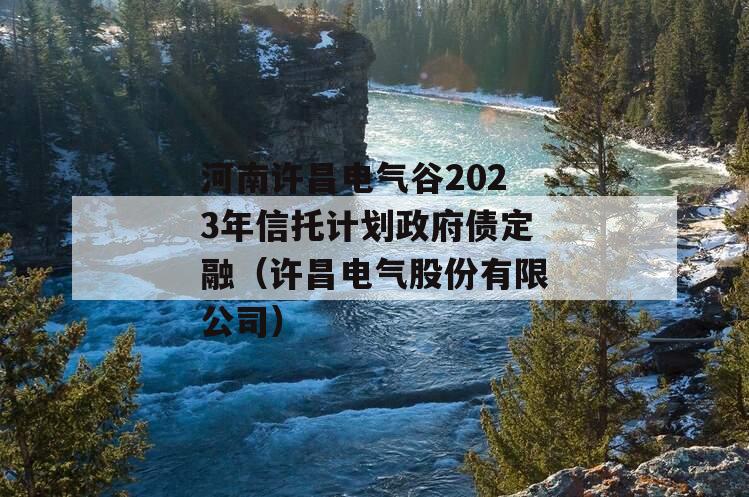 河南许昌电气谷2023年信托计划政府债定融（许昌电气股份有限公司）