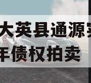 四川大英县通源实业2023年债权拍卖