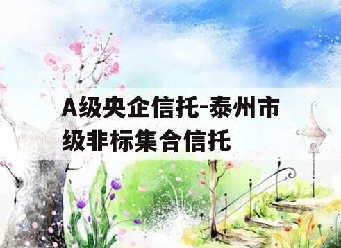 A级央企信托-泰州市级非标集合信托