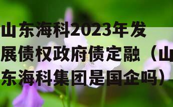 山东海科2023年发展债权政府债定融（山东海科集团是国企吗）