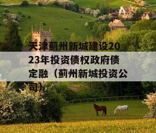 天津蓟州新城建设2023年投资债权政府债定融（蓟州新城投资公司）