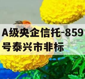 A级央企信托-859号泰兴市非标