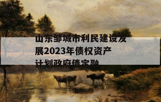 山东邹城市利民建设发展2023年债权资产计划政府债定融