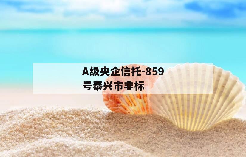 A级央企信托-859号泰兴市非标