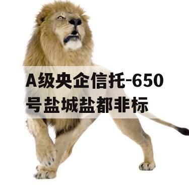 A级央企信托-650号盐城盐都非标