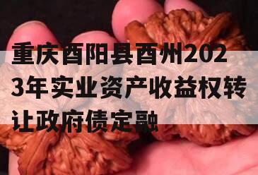 重庆酉阳县酉州2023年实业资产收益权转让政府债定融