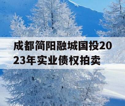 成都简阳融城国投2023年实业债权拍卖