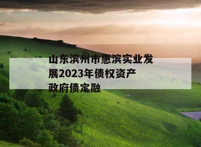 山东滨州市惠滨实业发展2023年债权资产政府债定融