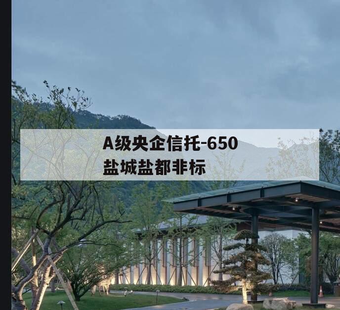 A级央企信托-650盐城盐都非标