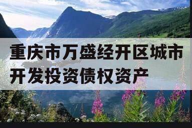 重庆市万盛经开区城市开发投资债权资产