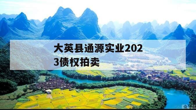 大英县通源实业2023债权拍卖