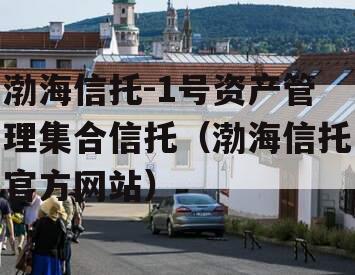 渤海信托-1号资产管理集合信托（渤海信托官方网站）