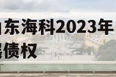 山东海科2023年发展债权